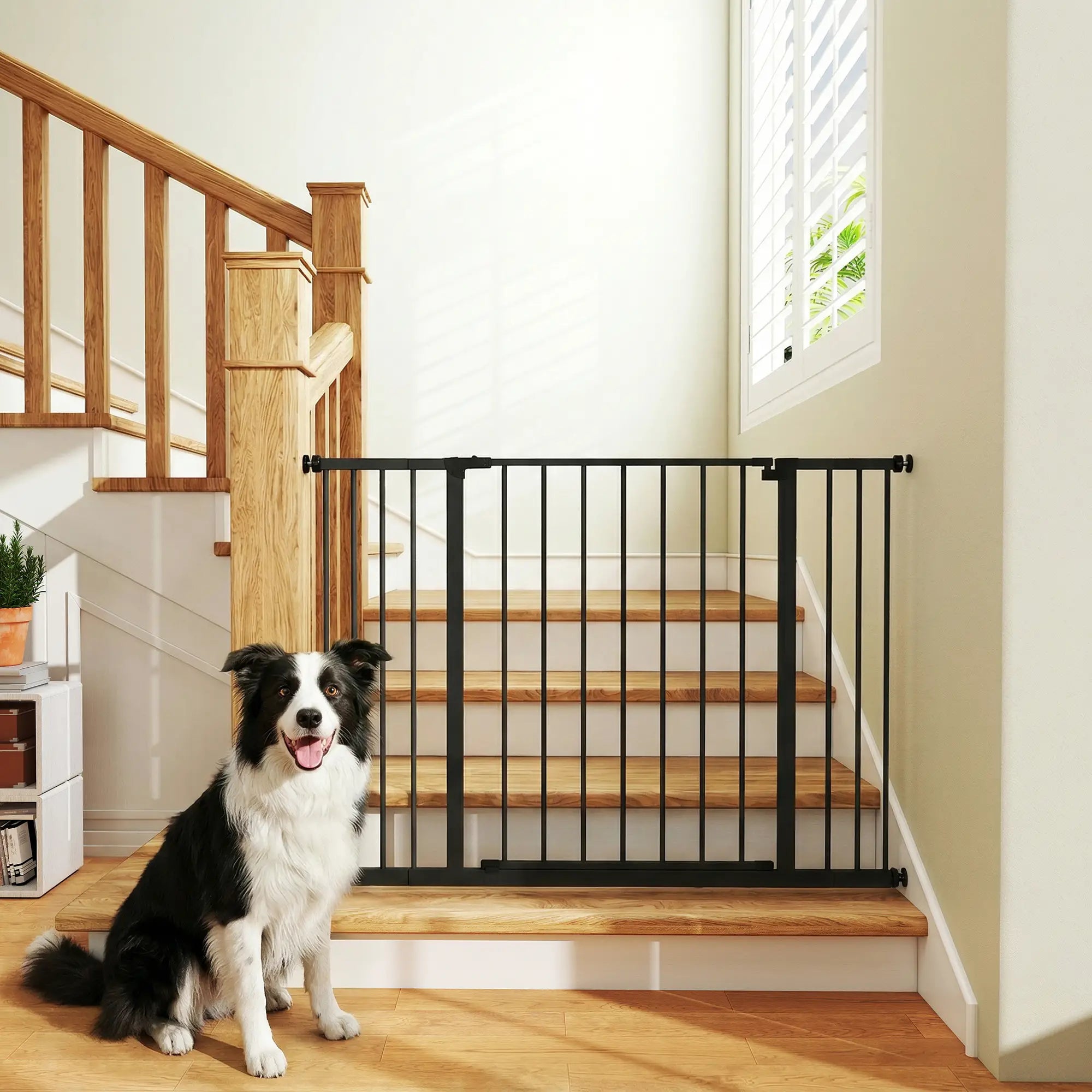 Pressure Fit Dog Gate, 29.9''-42.1'' Width, Black Houses, Kennels & Pens at Gallery Canada