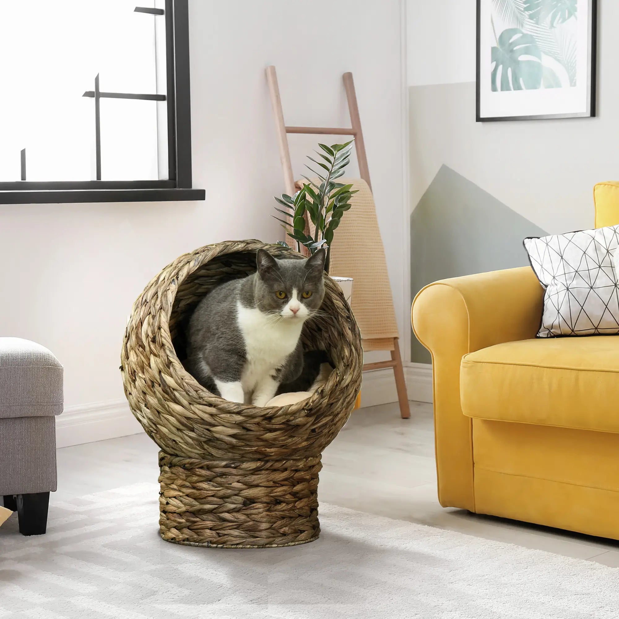 Wicker Cat Bed With Cushion, Stand, Indoor, Dark Brown Cat Houses at Gallery Canada
