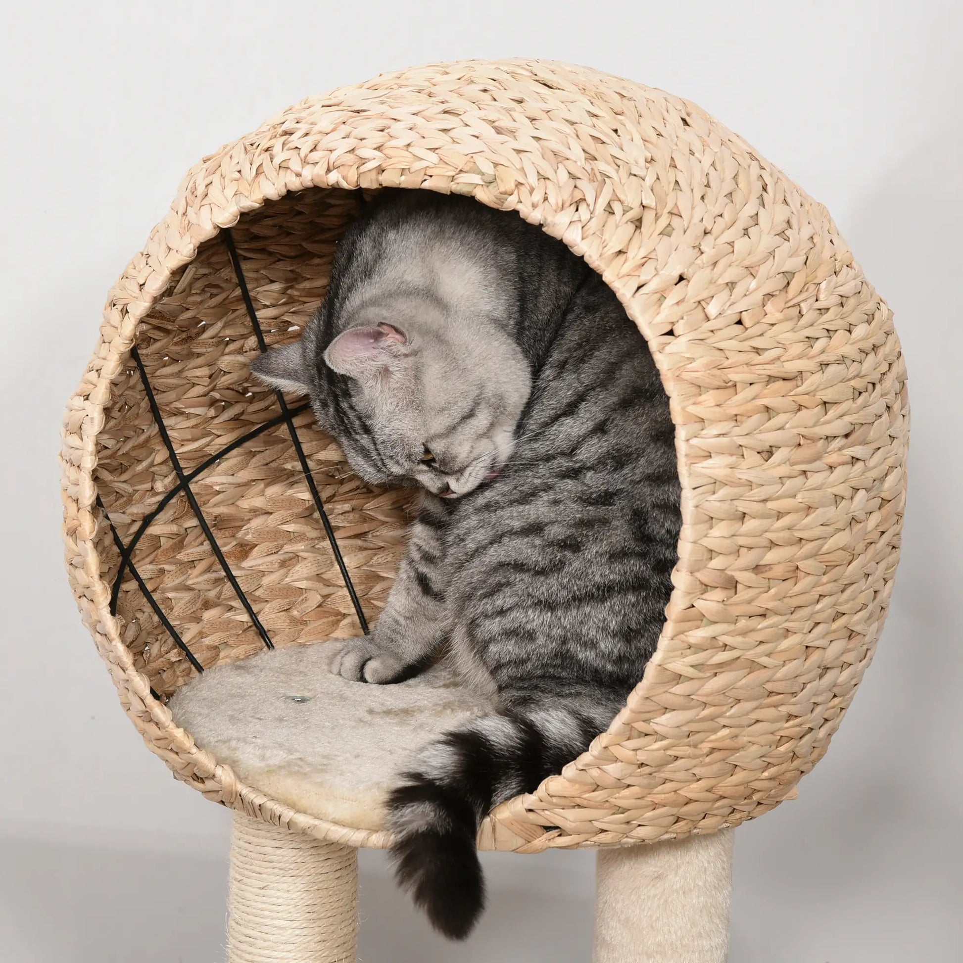 39" Cat Tree with Scratching Post, Condo, Plush Perch, Beige Cat Trees at Gallery Canada