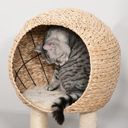 39" Cat Tree with Scratching Post, Condo, Plush Perch, Beige Cat Trees at Gallery Canada