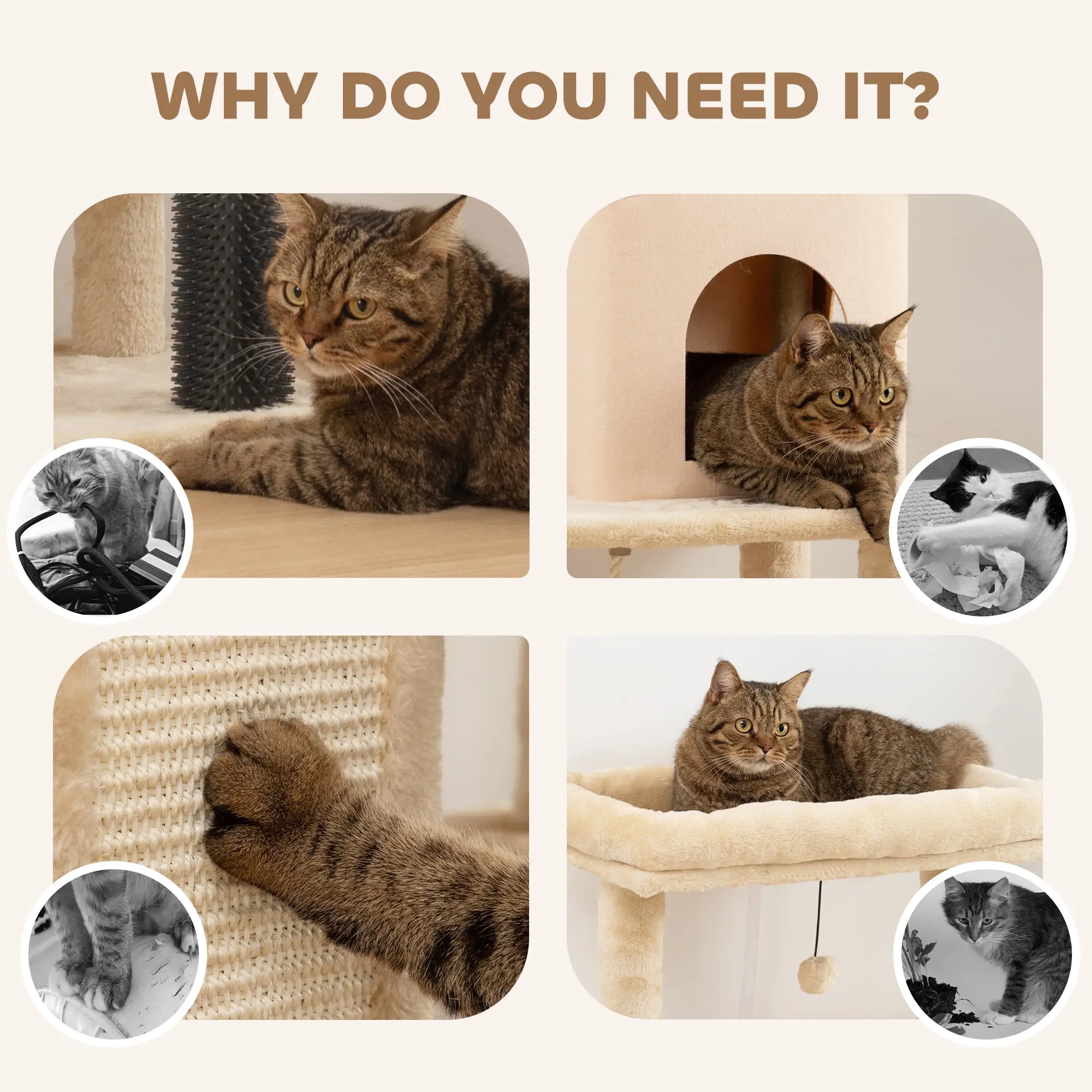 52 Inch Cat Tree with Scratching Posts, Bed, Condo, Grooming Brush Cat Towers at Gallery Canada