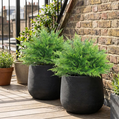 Artificial Boston Ferns, UV-Resistant Fake Plants, Indoor Outdoor Decor, Set of 2 Artificial Trees at Gallery Canada