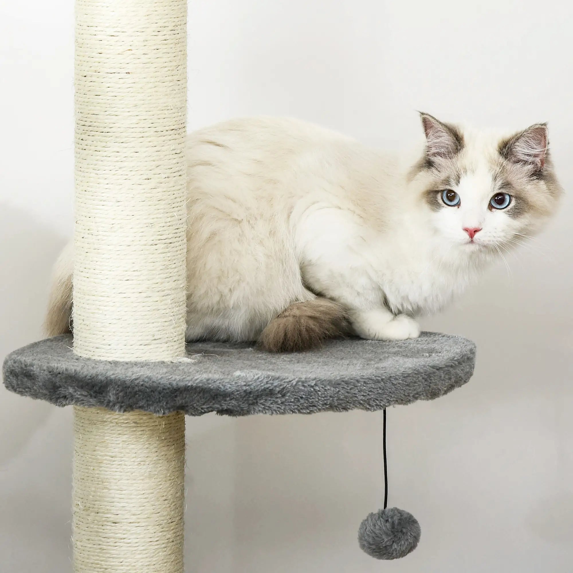 4-Tier Floor to Ceiling Cat Tree, Scratching Post, Plush, Toy Ball, Light Grey Floor to Ceiling Cat Trees at Gallery Canada