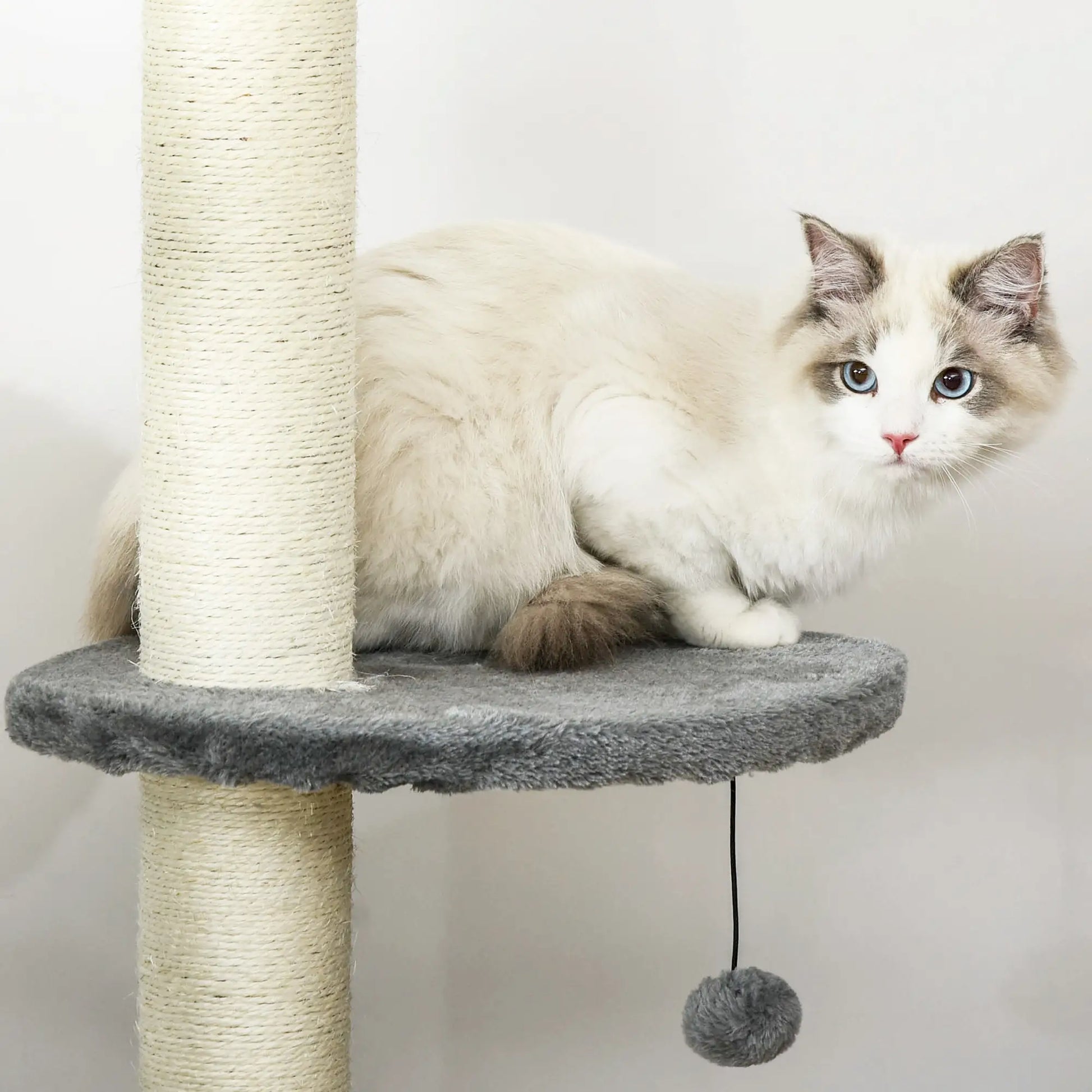 4-Tier Floor to Ceiling Cat Tree, Scratching Post, Plush, Toy Ball, Light Grey Floor to Ceiling Cat Trees at Gallery Canada