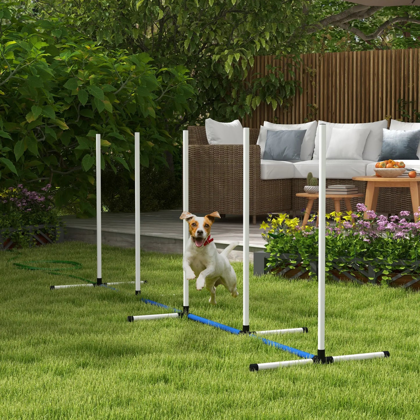 2PCs Dog Agility Kit, Weave Poles, Spray Tube, Whistle, Carry Bag, White Dog Agility Training Equipment at Gallery Canada