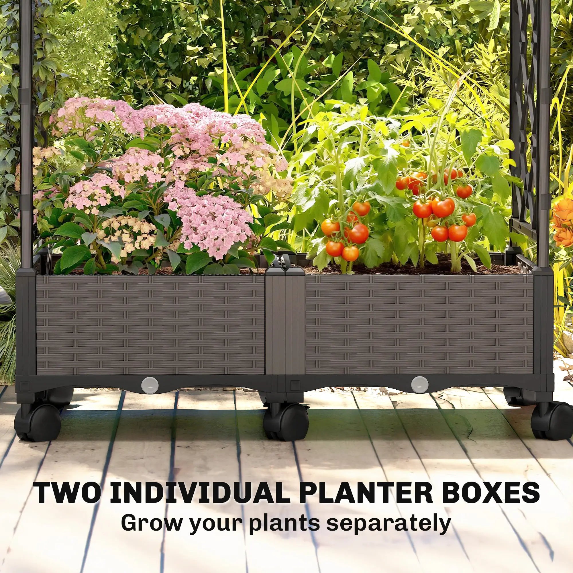Raised Garden Bed With Arch Trellis, On Wheels, For Climbing Plants Raised Garden Beds at Gallery Canada