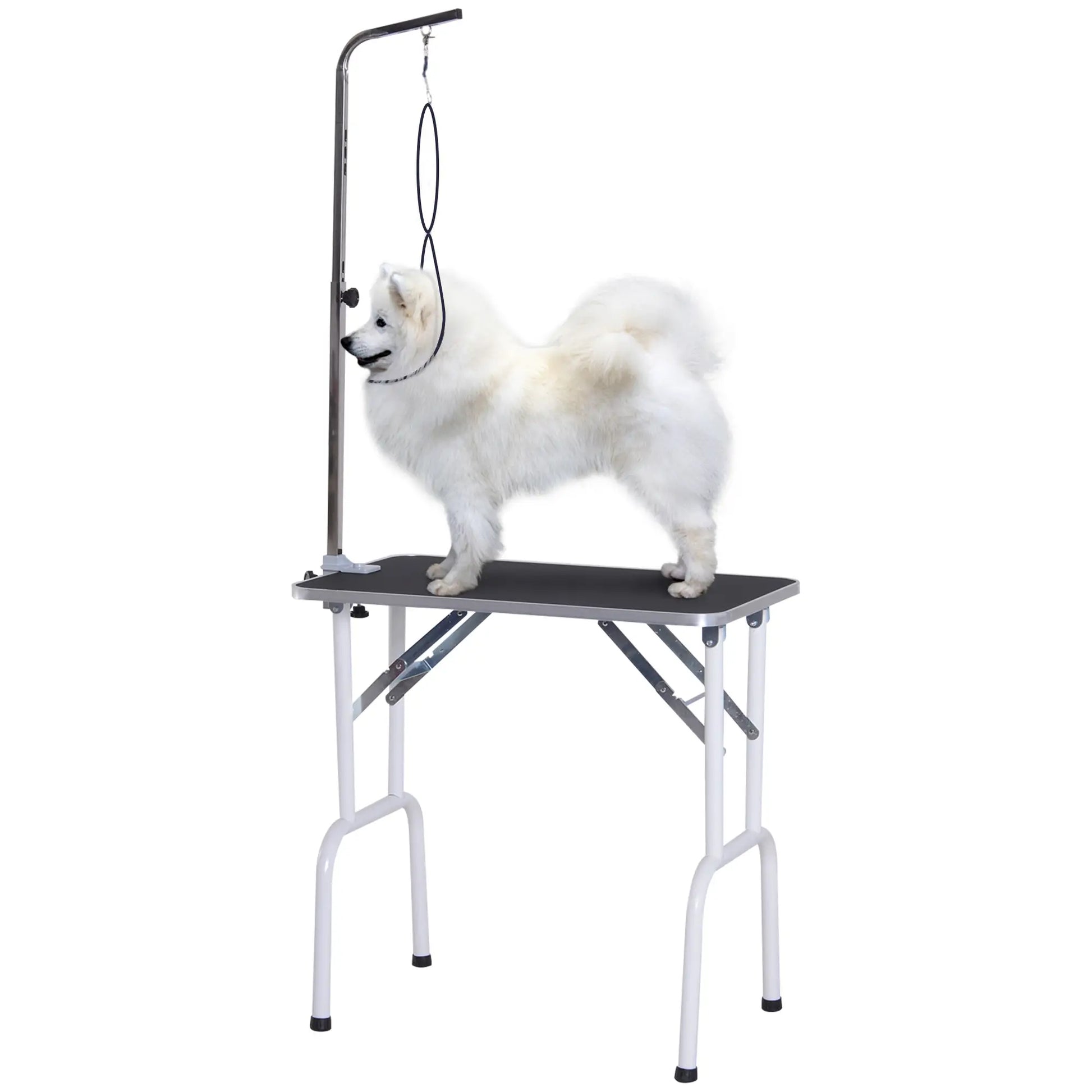 Foldable Pet Grooming Table for Dogs Cats with Adjustable Arm, Non-slip Surface, Black Dog Grooming Tables Black, White at Gallery Canada