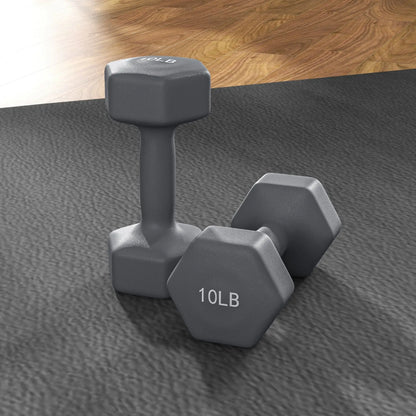 Hexagonal Dumbbells, 10LBS Set of 2, Non-Slip Grip Dumbbells & Barbells at Gallery Canada