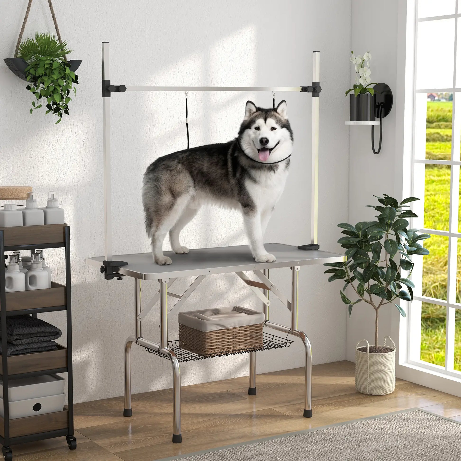 Adjustable Dog Grooming Table, 2 Safety Slings, Storage Basket, Grey Dog Grooming Tables at Gallery Canada
