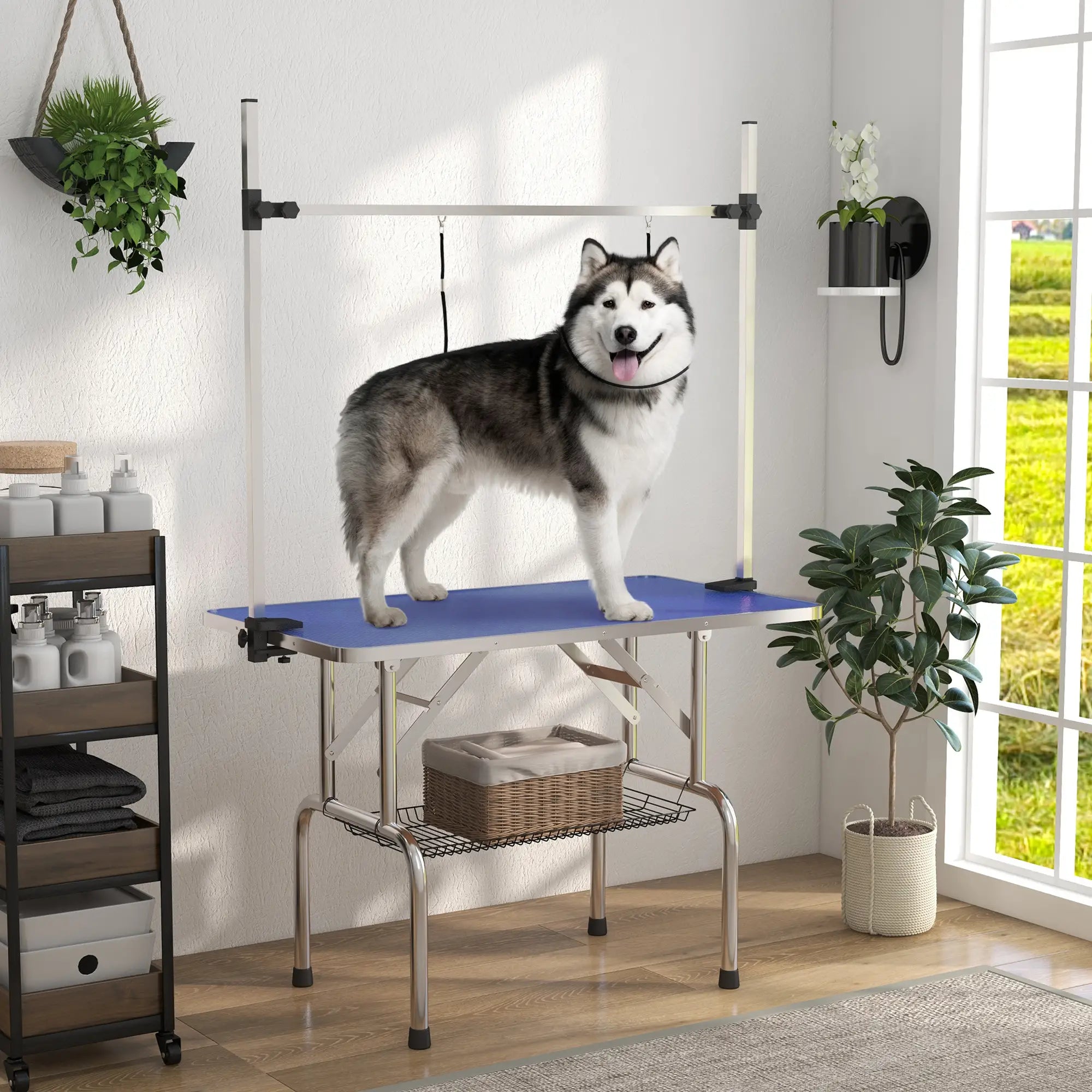 Adjustable Dog Grooming Table, 2 Safety Slings, Storage Basket, Blue Dog Grooming Tables at Gallery Canada