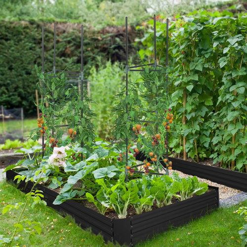 6' x 3' x 1' Raised Garden Bed, 2 Trellis Tomato Cages, Steel Frame, Black