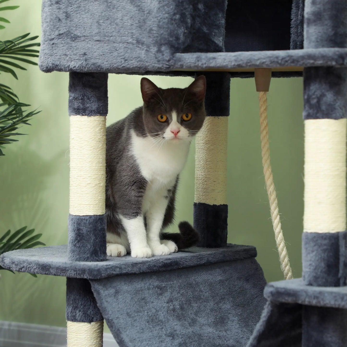 81" Large Cat Tree, Scratching Posts, Condos, Beds, Hammocks, Dark Grey Cat Towers at Gallery Canada