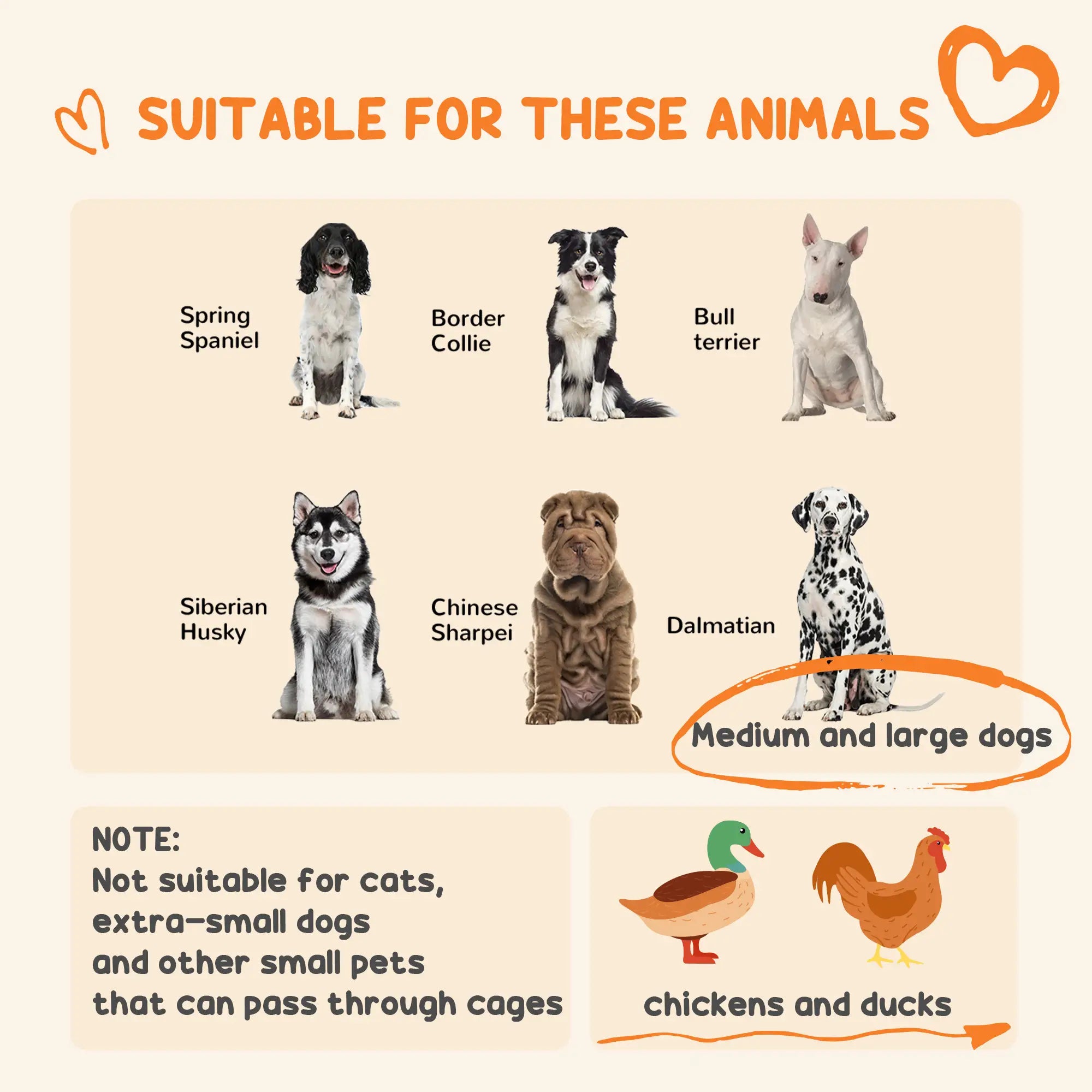 Galvanized Steel Outdoor Dog Kennel, Heavy Duty, Black Houses, Kennels & Pens at Gallery Canada