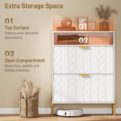 Modern Shoe Cabinet, 2 Flip Drawers, Adjustable Shelves, White Shoe Storage Cabinets & Racks at Gallery Canada