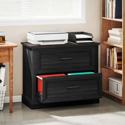 Lateral Filing Cabinet, 2 Silent Drawers, Letter A4 Legal Size, Black Office Cabinets & Cupboards at Gallery Canada