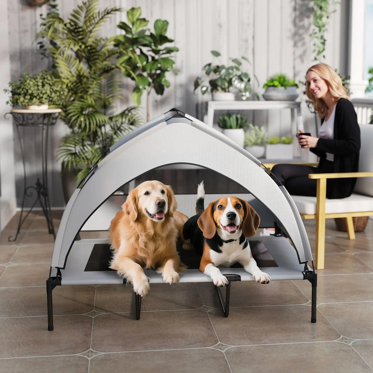 Elevated Dog Bed With Removable Canopy, Portable Pet Cot, 48" x 36" x 37" Elevated Dog Beds at Gallery Canada
