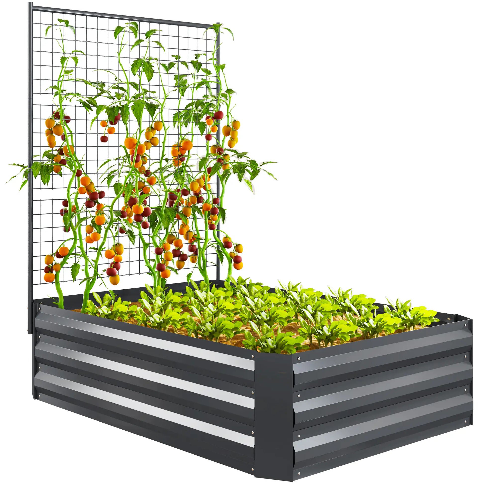 Galvanized Raised Garden Bed, Trellis for Climbing Plants, Dark Grey Raised Garden Beds at Gallery Canada