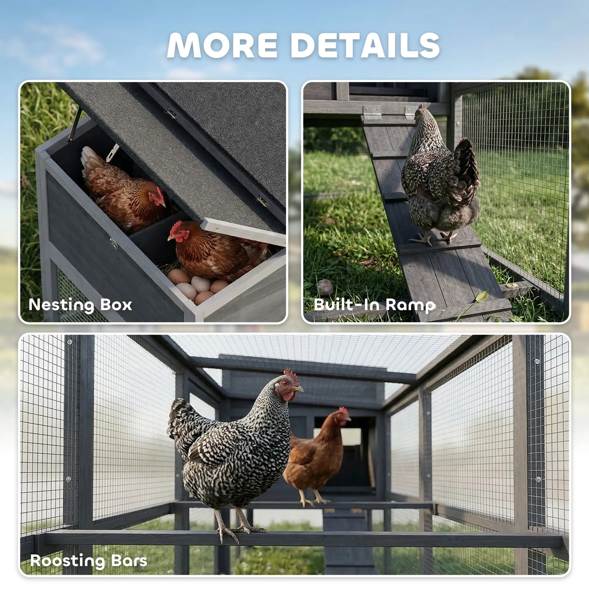 Large Chicken Coop, Wooden Hen House With Covered Run Chicken Coops at Gallery Canada