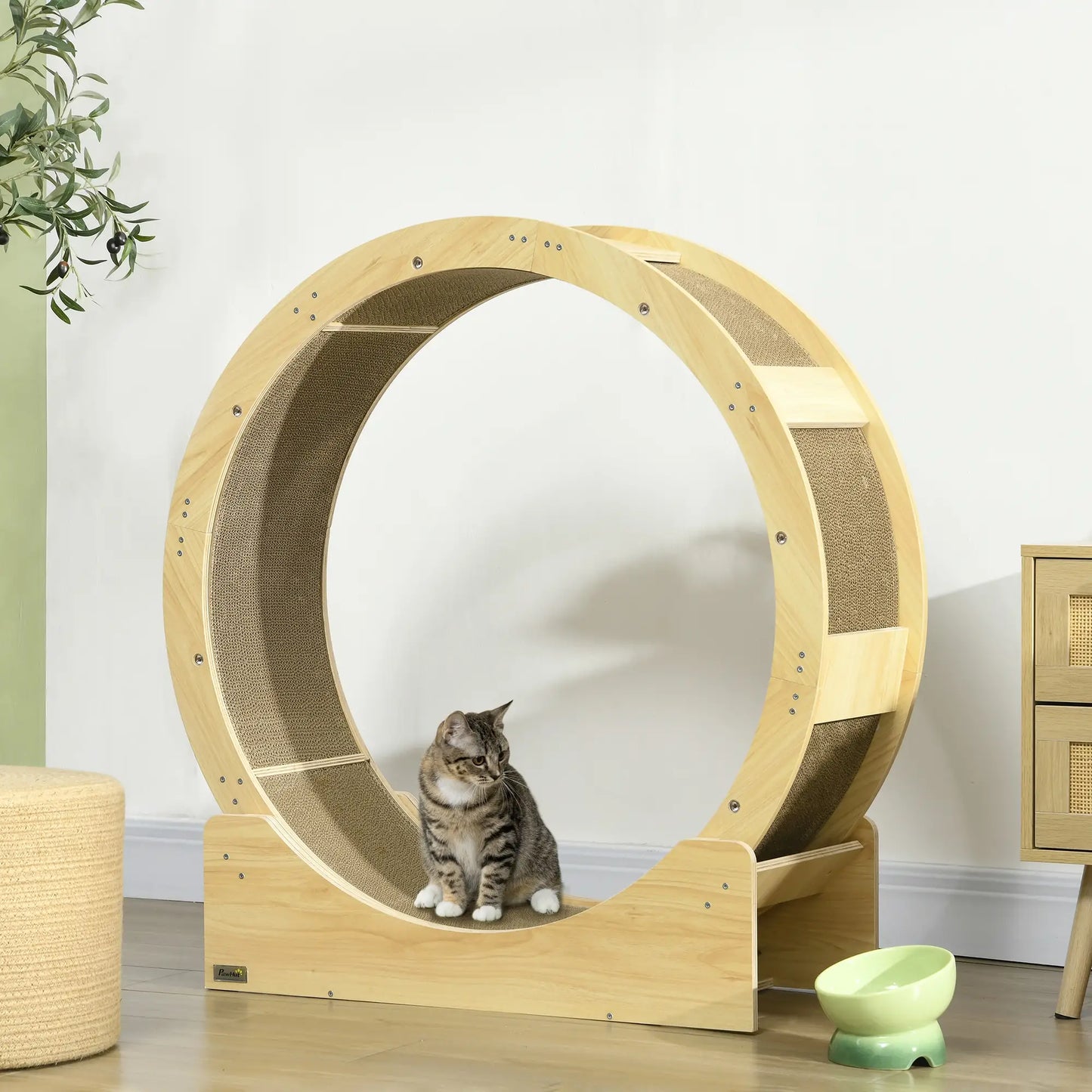 36" Cat Wheel, Indoor, Brake, Scratching Pads, Oak Cat Trees at Gallery Canada