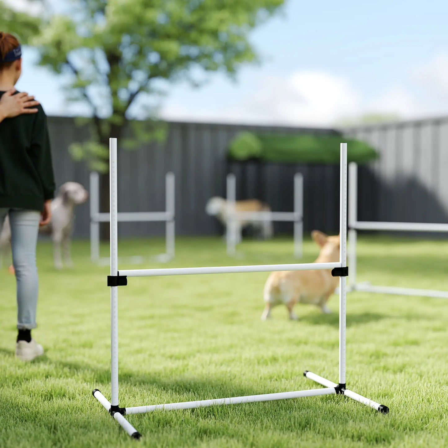 Set of 4 Dog Agility Training Jump Bars, Adjustable, White Dog Agility Training Equipment at Gallery Canada