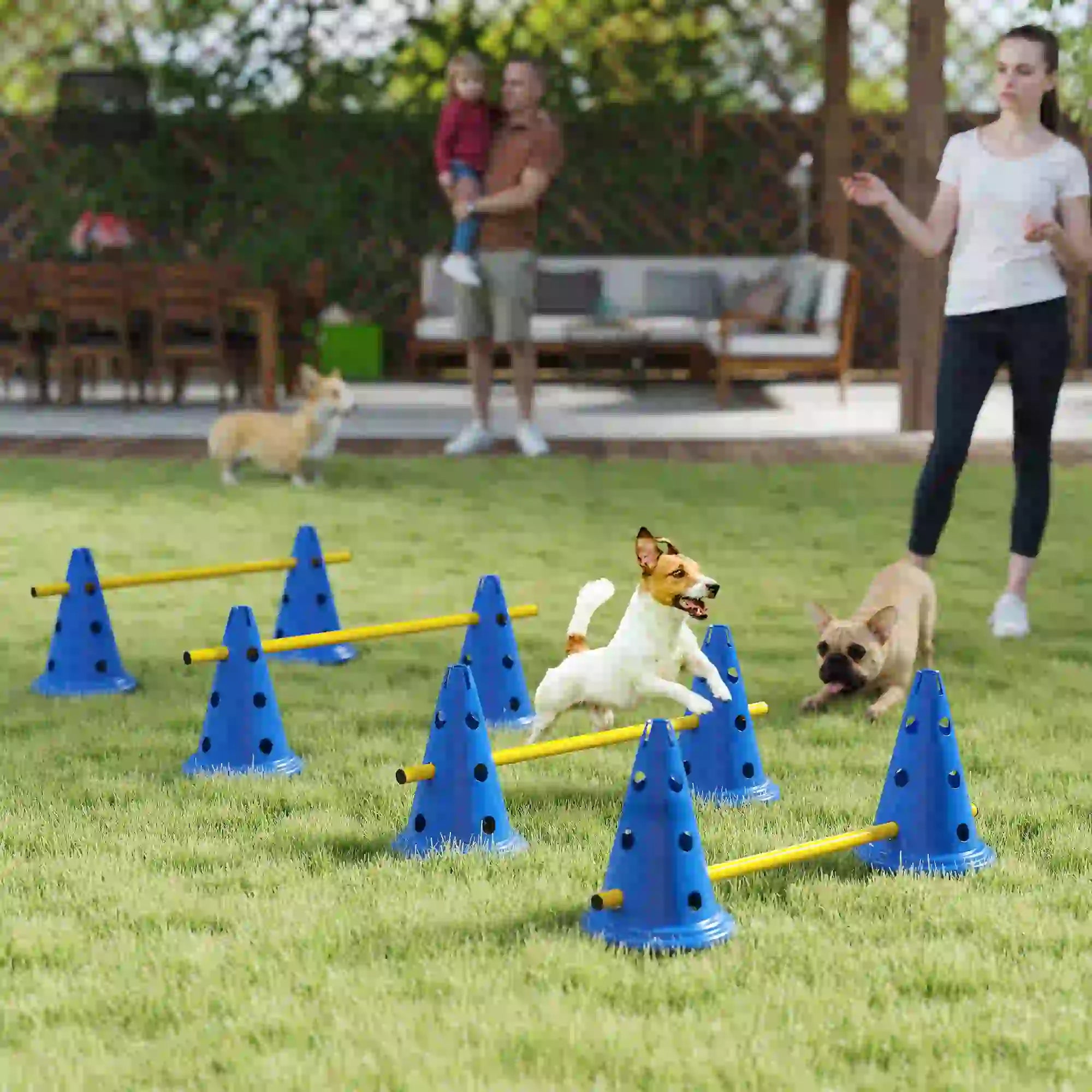 Dog Agility Hurdle Cone Set, Adjustable Obstacle Course, 8 Cones & 8 Poles, Blue Dog Agility Training Equipment at Gallery Canada