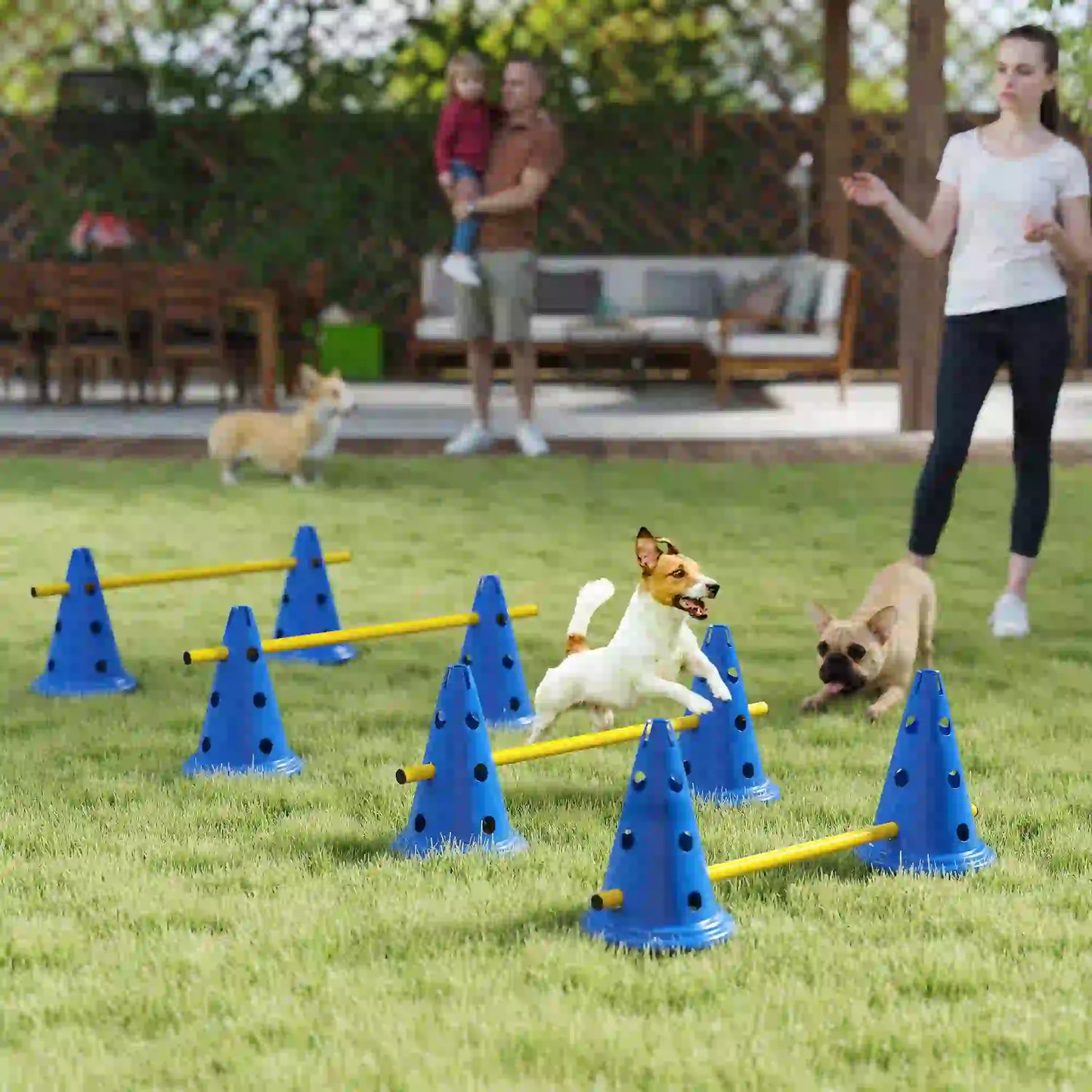 Dog Agility Hurdle Cone Set, Adjustable Obstacle Course, 8 Cones & 8 Poles, Blue Dog Agility Training Equipment at Gallery Canada