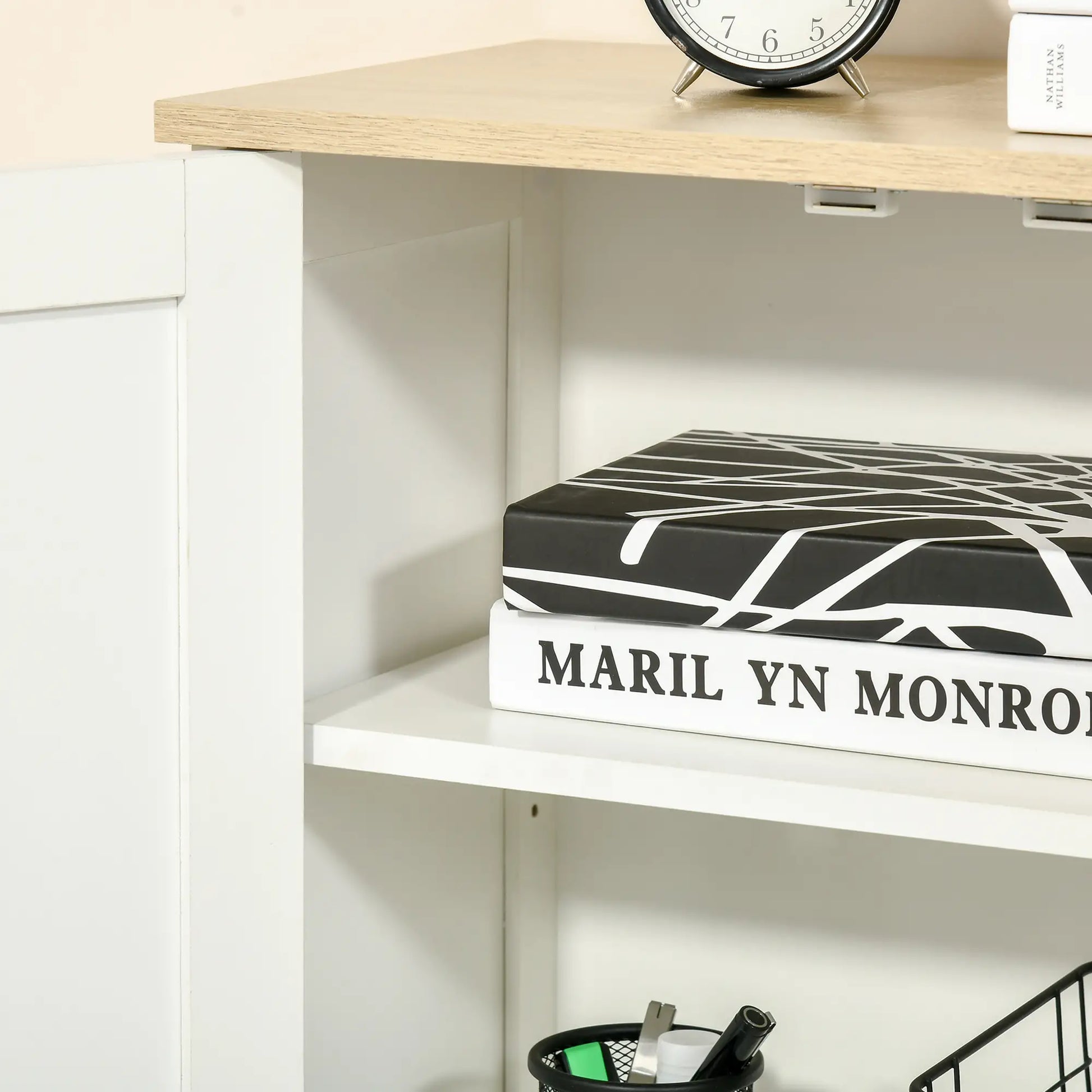 Storage Cabinet with Doors, 2 Adjustable Shelves, Living Room, Bathroom Storage Cabinets at Gallery Canada