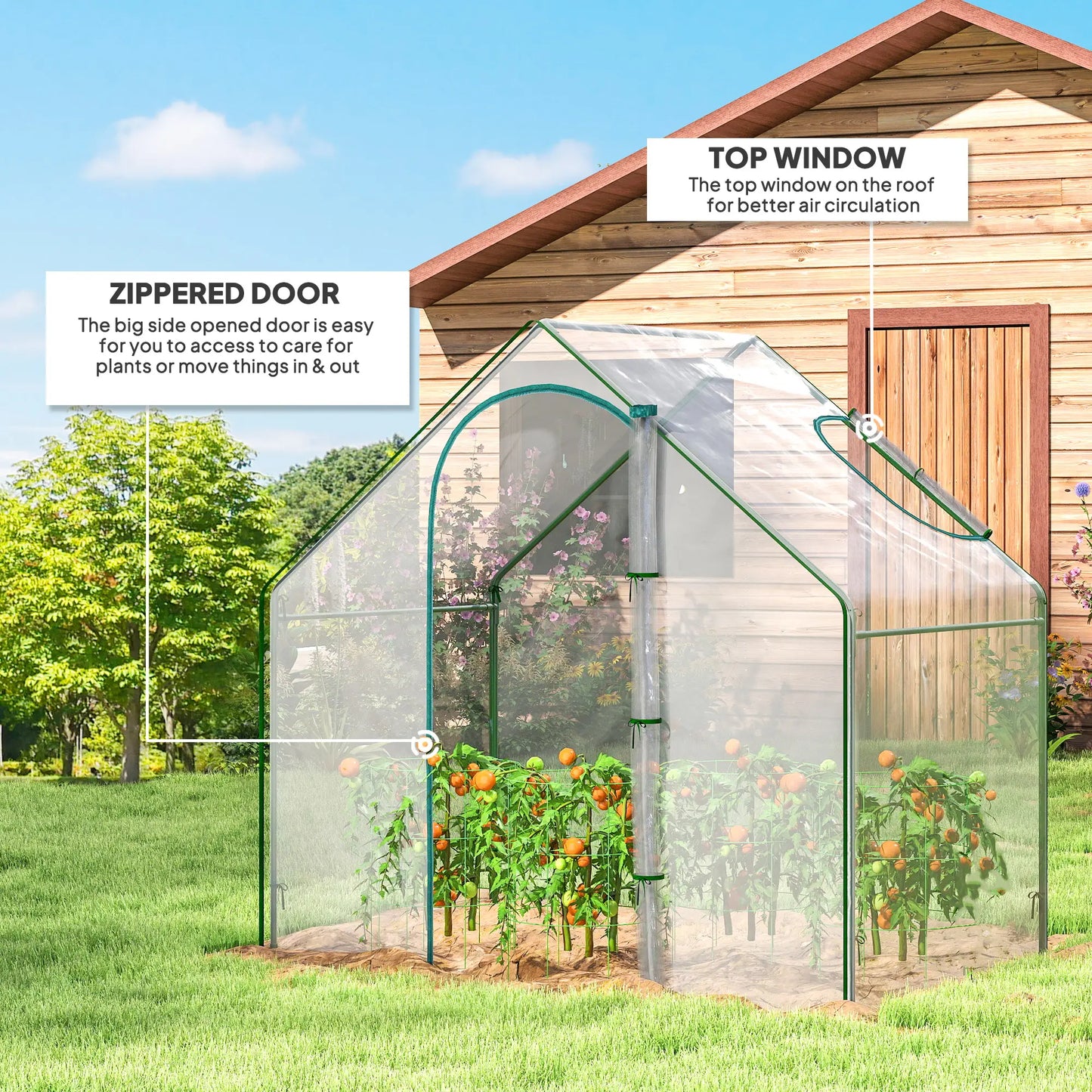 6'x3.3'x5.5' Walk-in Greenhouse, Portable Mini for Plants, Clear Cover Mini Greenhouses at Gallery Canada
