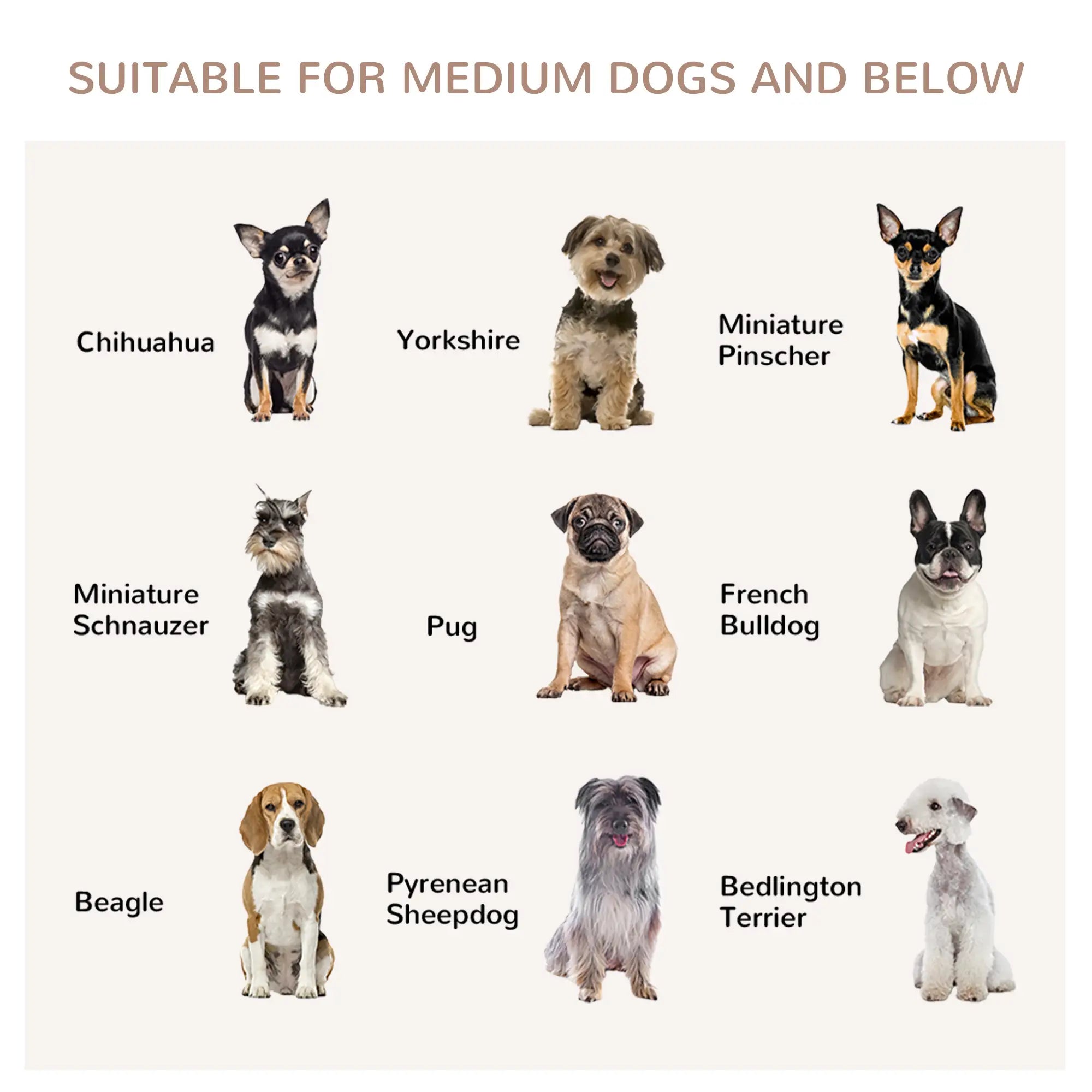 Dog Crate Furniture, Three Doors, Locks, Indoor, Medium, Grey Houses, Kennels & Pens at Gallery Canada