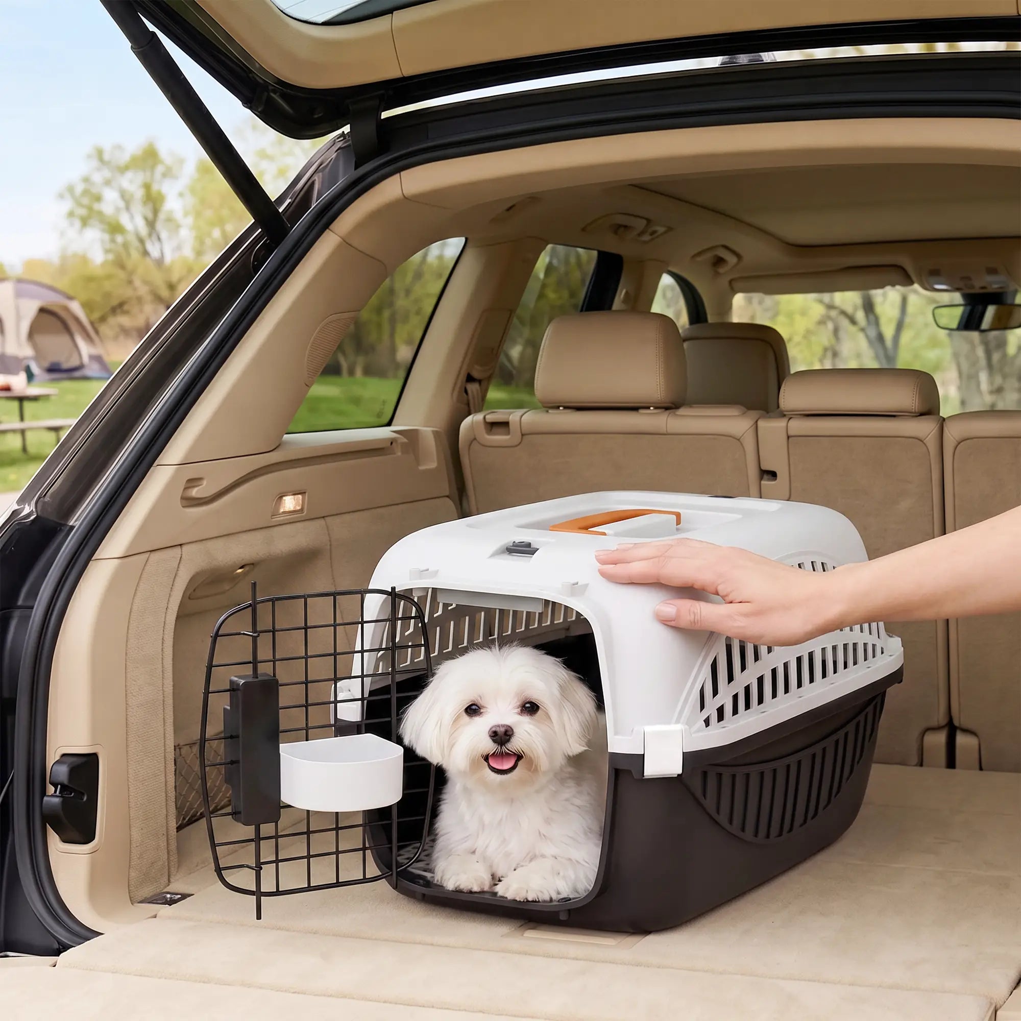 Airline Approved Pet Carrier For Mini Dogs, Steel Wire Door, Black Dog Cages & Crates at Gallery Canada
