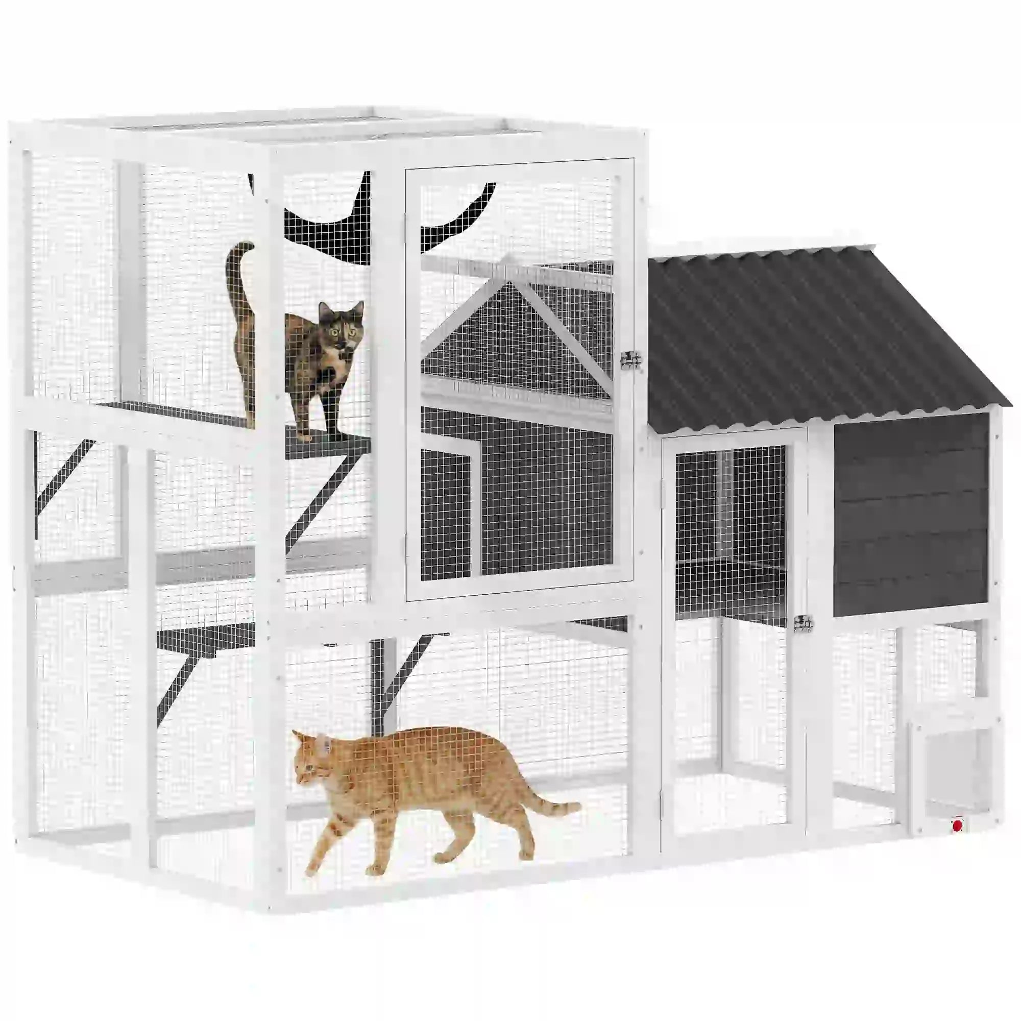 Large Catio, 63