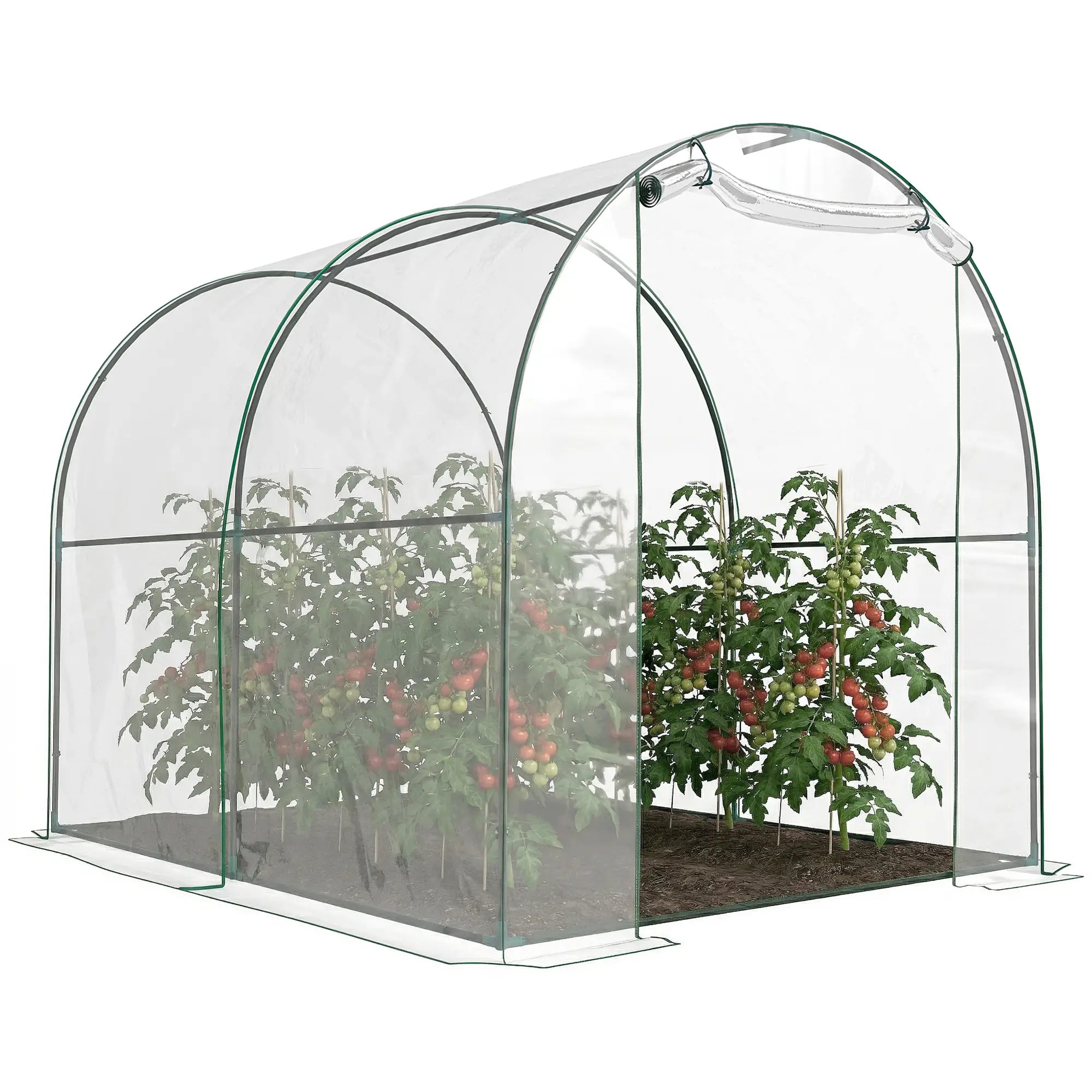 6.6' x 8.2' x 6.6' Dome Tunnel Greenhouse, Transparent Tunnel Greenhouses Transparent at Gallery Canada