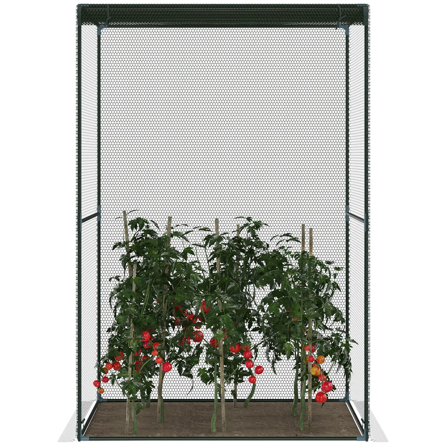 4' x 4' Walk-In Greenhouse, Roll-Up Zipper Door, Dark Green Greenhouses at Gallery Canada