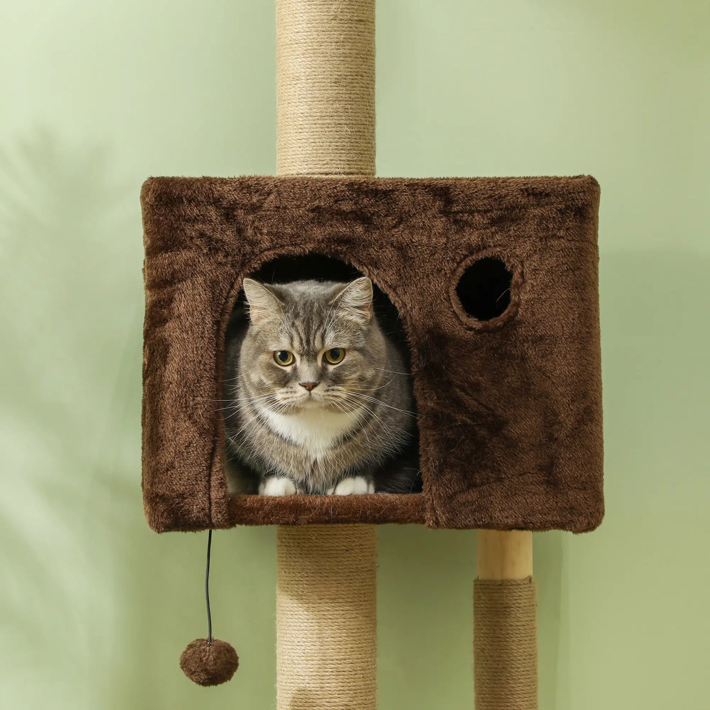 89"-104" Cat Tree with Scratching Post, Cat House, 3-Steps, Hanging Ball, Brown Floor to Ceiling Cat Trees at Gallery Canada