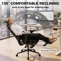 Ergonomic Office Chair, Lumbar Support, 2D Headrest, Mesh Reclining, Black