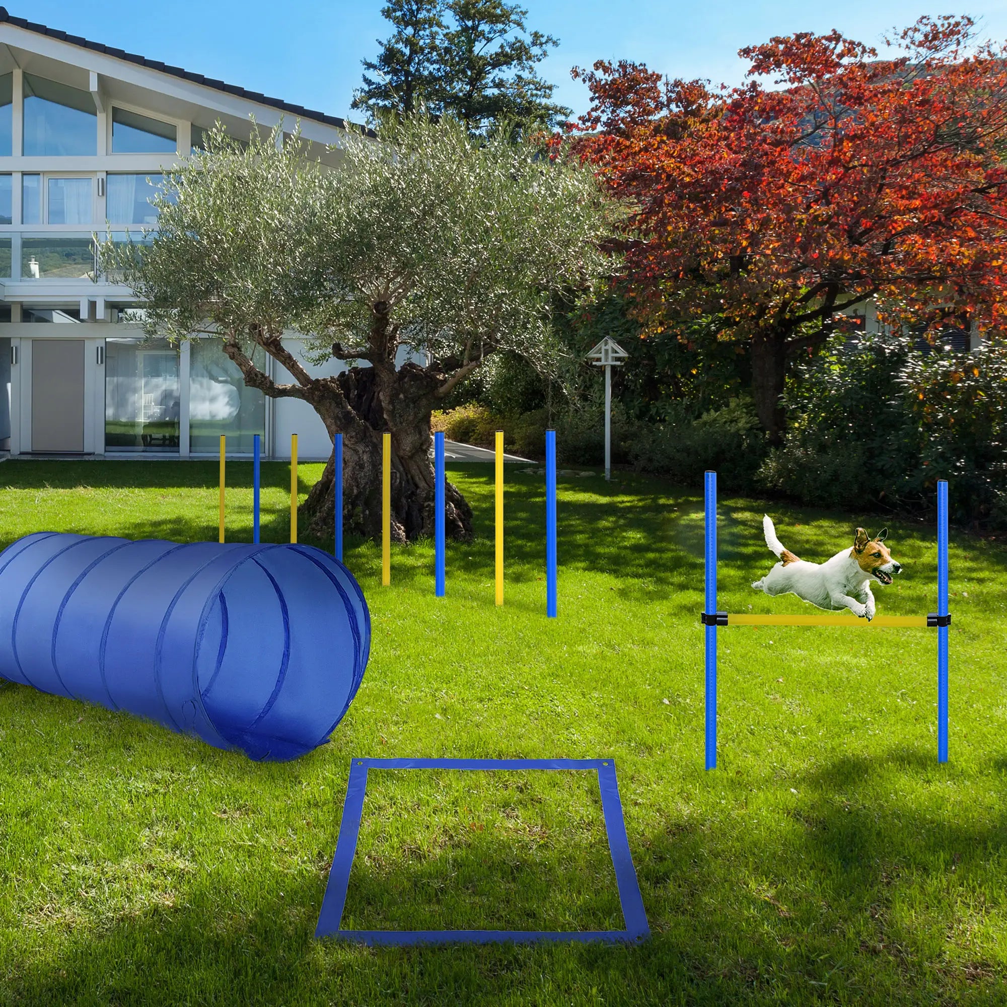 Dog Agility Starter Kit, Outdoor Training Set, Tunnel, 8 Weave Poles, High Jumper Dog Agility Training Equipment at Gallery Canada