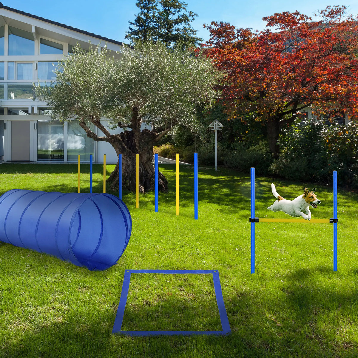 Dog Agility Starter Kit, Outdoor Training Set, Tunnel, 8 Weave Poles, High Jumper Dog Agility Training Equipment at Gallery Canada