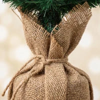 Pencil Christmas Trees Set Of 3, Pre-Lit, Green, Green