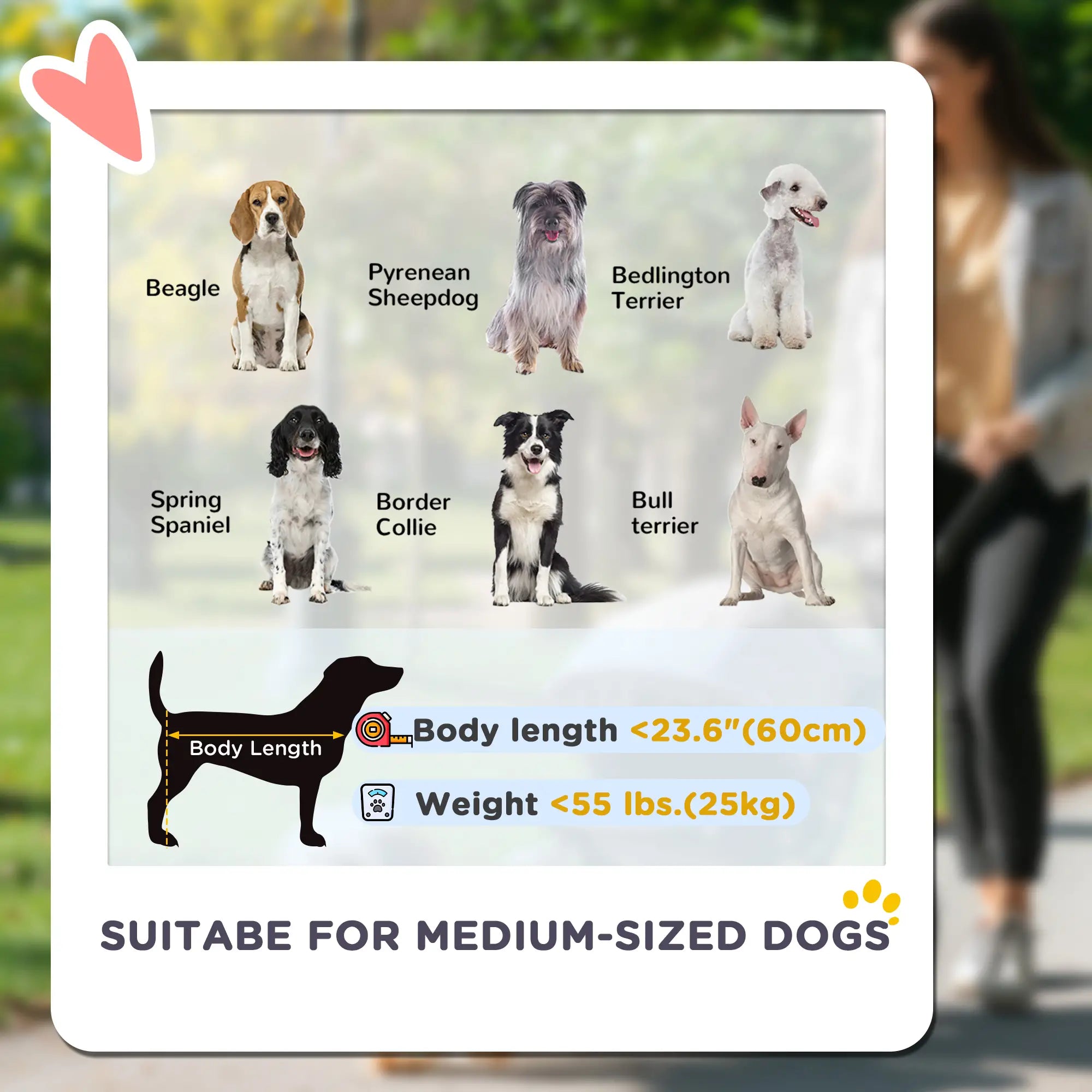 Foldable Pet Stroller For Large Dogs, Four Big Wheels, Dark Grey Dog Bike Trailers & Strollers at Gallery Canada