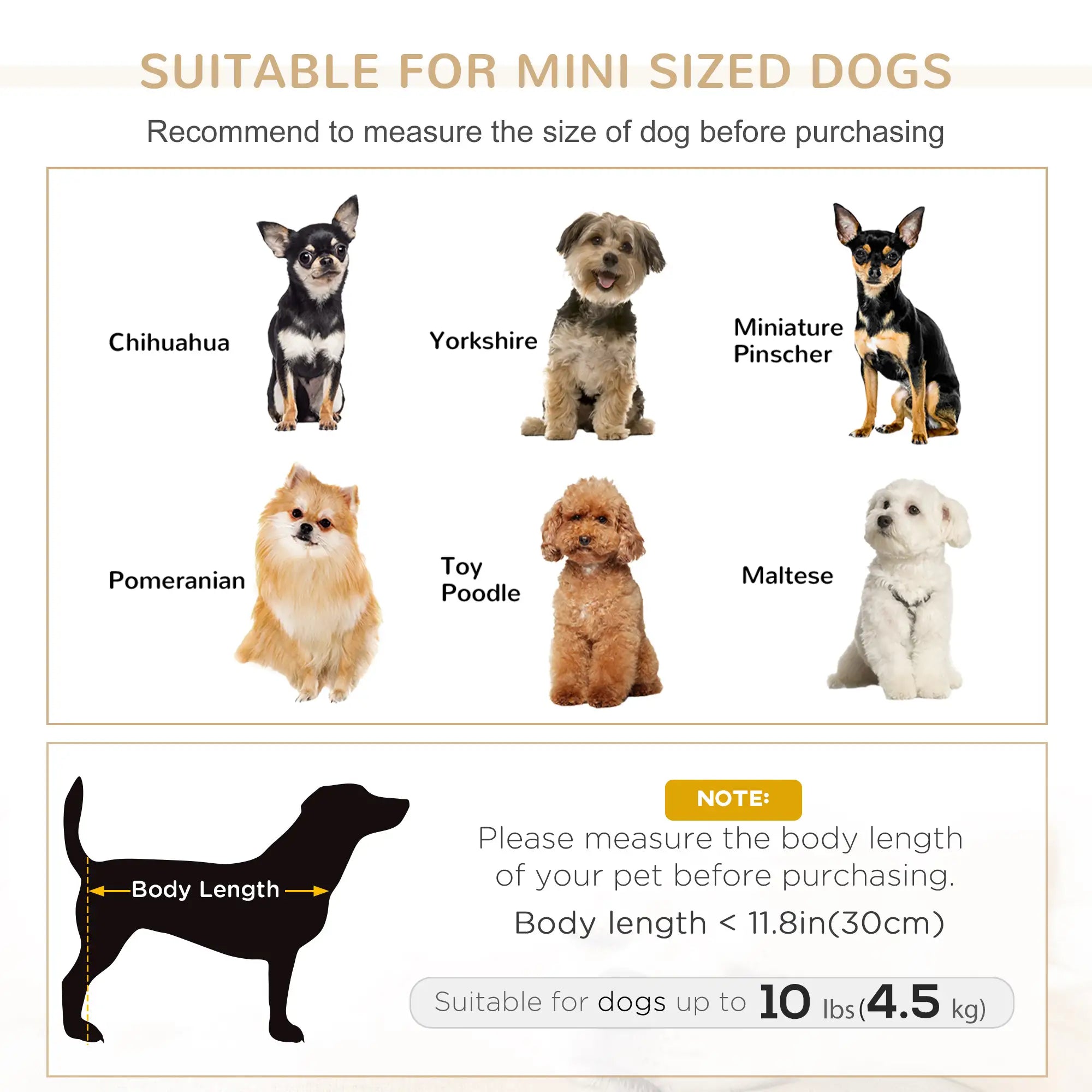 Dog Sofa, Cat Couch, Removable Washable Cushion, Miniature Dogs, White Dog Sofas at Gallery Canada