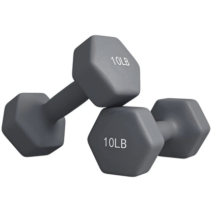 Hexagonal Dumbbells, 10LBS Set of 2, Non-Slip Grip Dumbbells & Barbells Grey at Gallery Canada