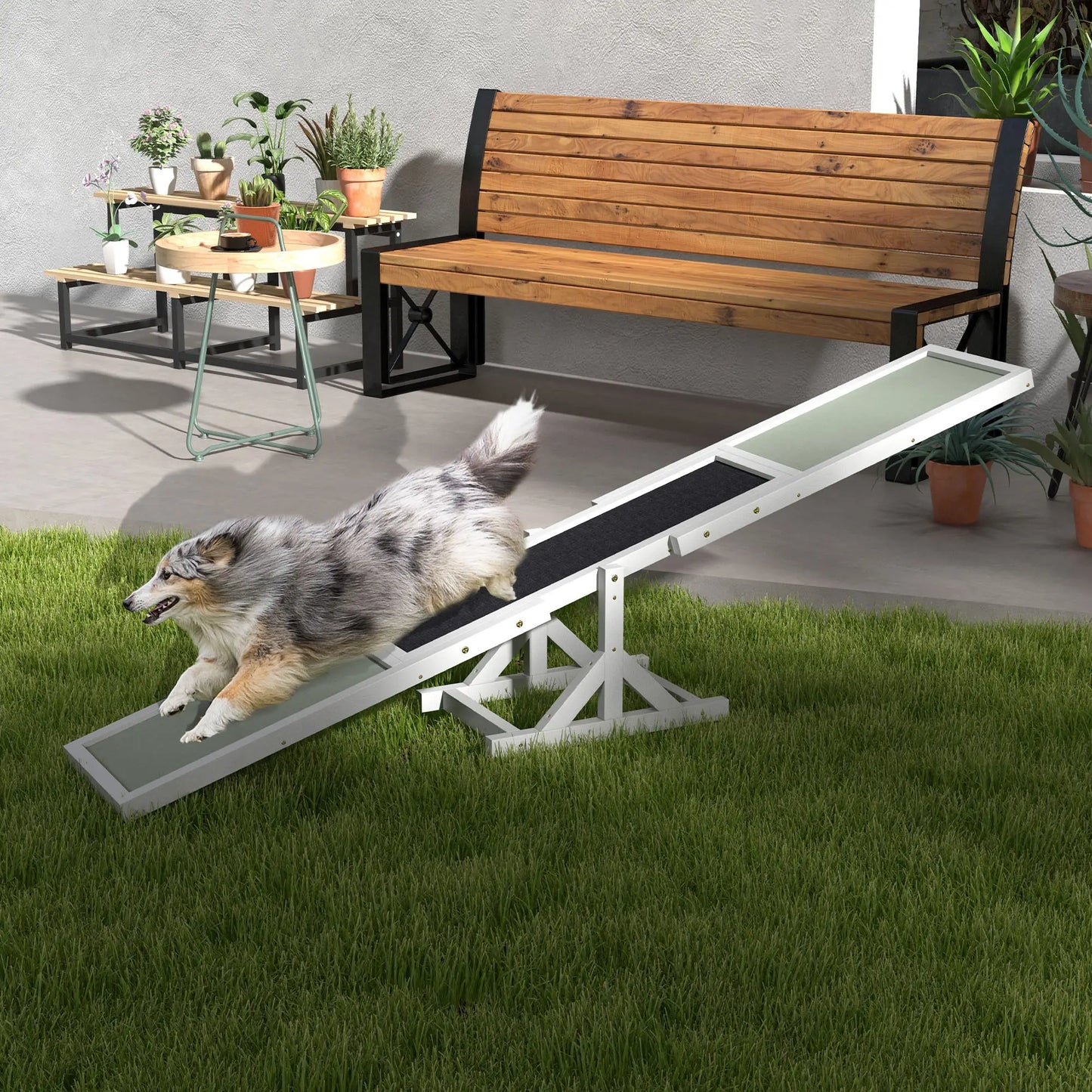 Wood Pet Seesaw, Dog Agility Training Equipment, Weather Resistant, White Dog Agility Training Equipment at Gallery Canada