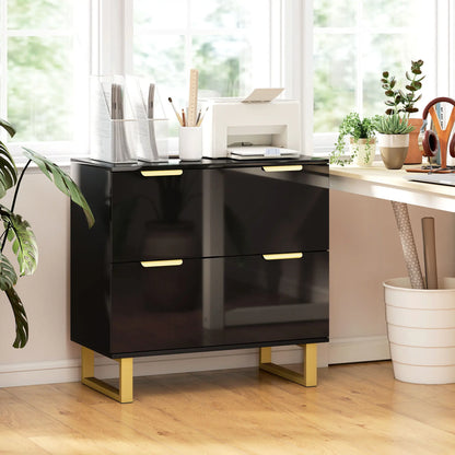 Lateral File Cabinet, 2 Drawers, Letter/A4/Legal Size, High Gloss Black Office Cabinets & Cupboards at Gallery Canada