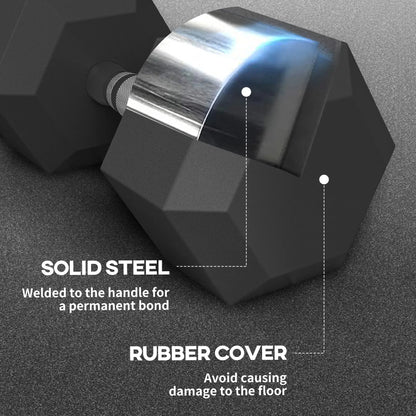 2 x 45lbs Rubber Hex Dumbbells, Fitness Training, Black Dumbbells & Barbells at Gallery Canada