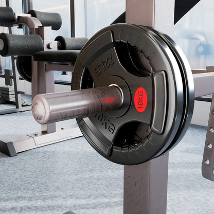 Weight Plates Set, 2-Inch Barbell Weights, Tri-Grips, 2 x 22lbs Dumbbells & Barbells at Gallery Canada