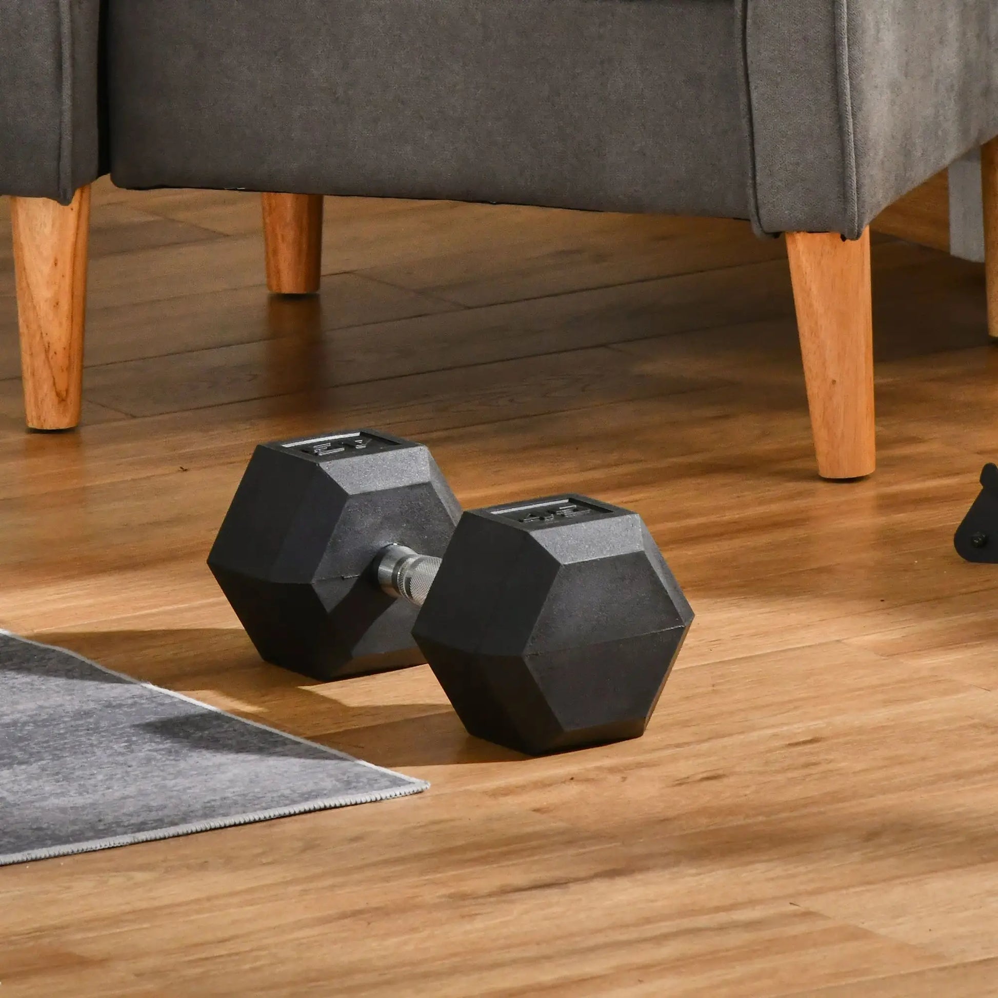 45lbs Rubber Hex Dumbbells, for Home Gym Fitness, Black Dumbbells & Barbells at Gallery Canada