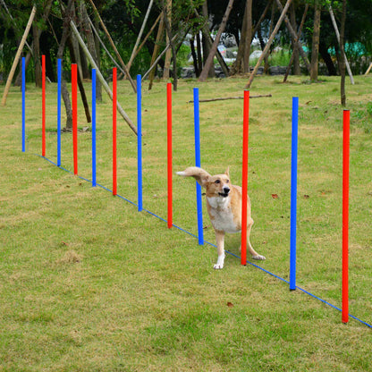 Dog Agility Equipment Set, Portable Training for Outdoor Play Dog Agility Training Equipment at Gallery Canada