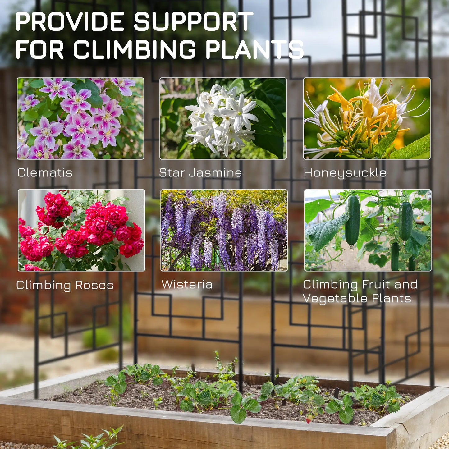 4 Pack Garden Trellis, Metal Grid Panels for Climbing Plants, 72" Tall Plant Stands at Gallery Canada