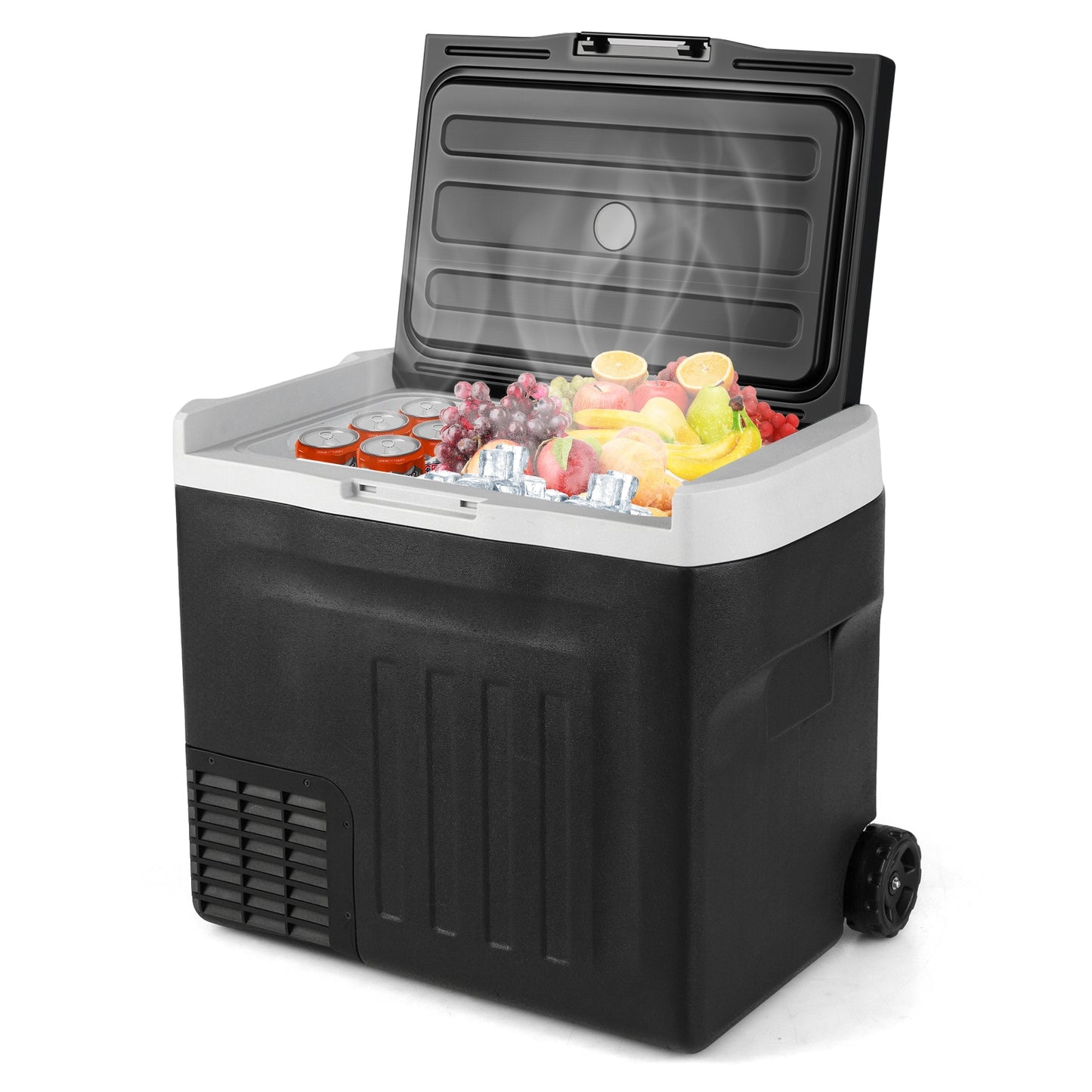 12V Car Refrigerator 42QT with Touch Panel and Removable Divider-L, Black Coolers at Gallery Canada