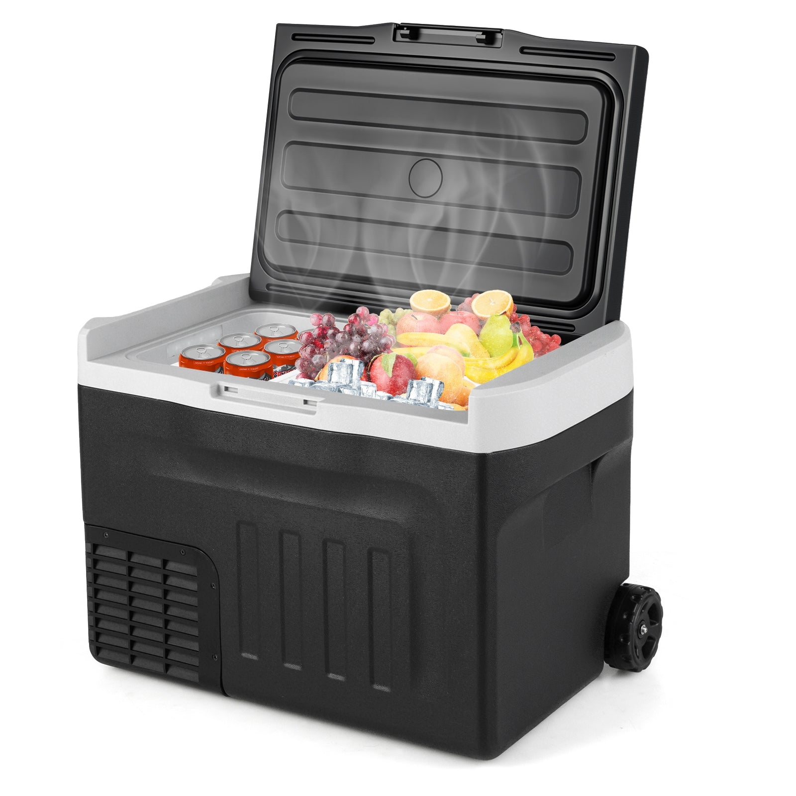 12V Car Refrigerator 32QT with Touch Panel and Removable Divider-M, Black Coolers at Gallery Canada